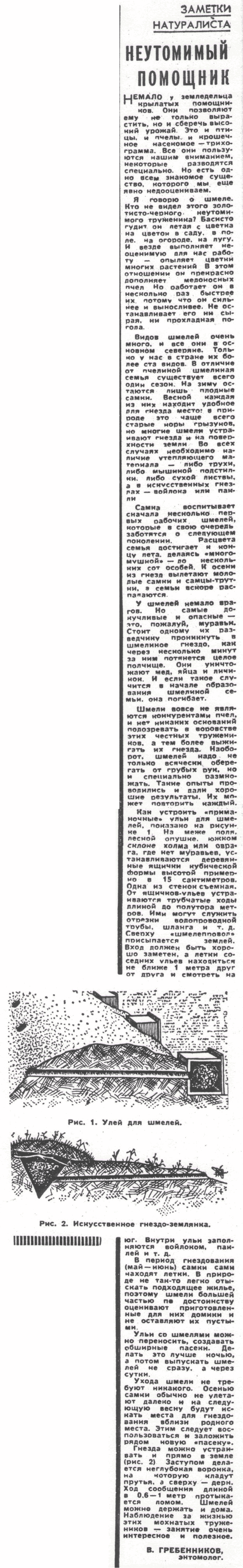Скан/Scan