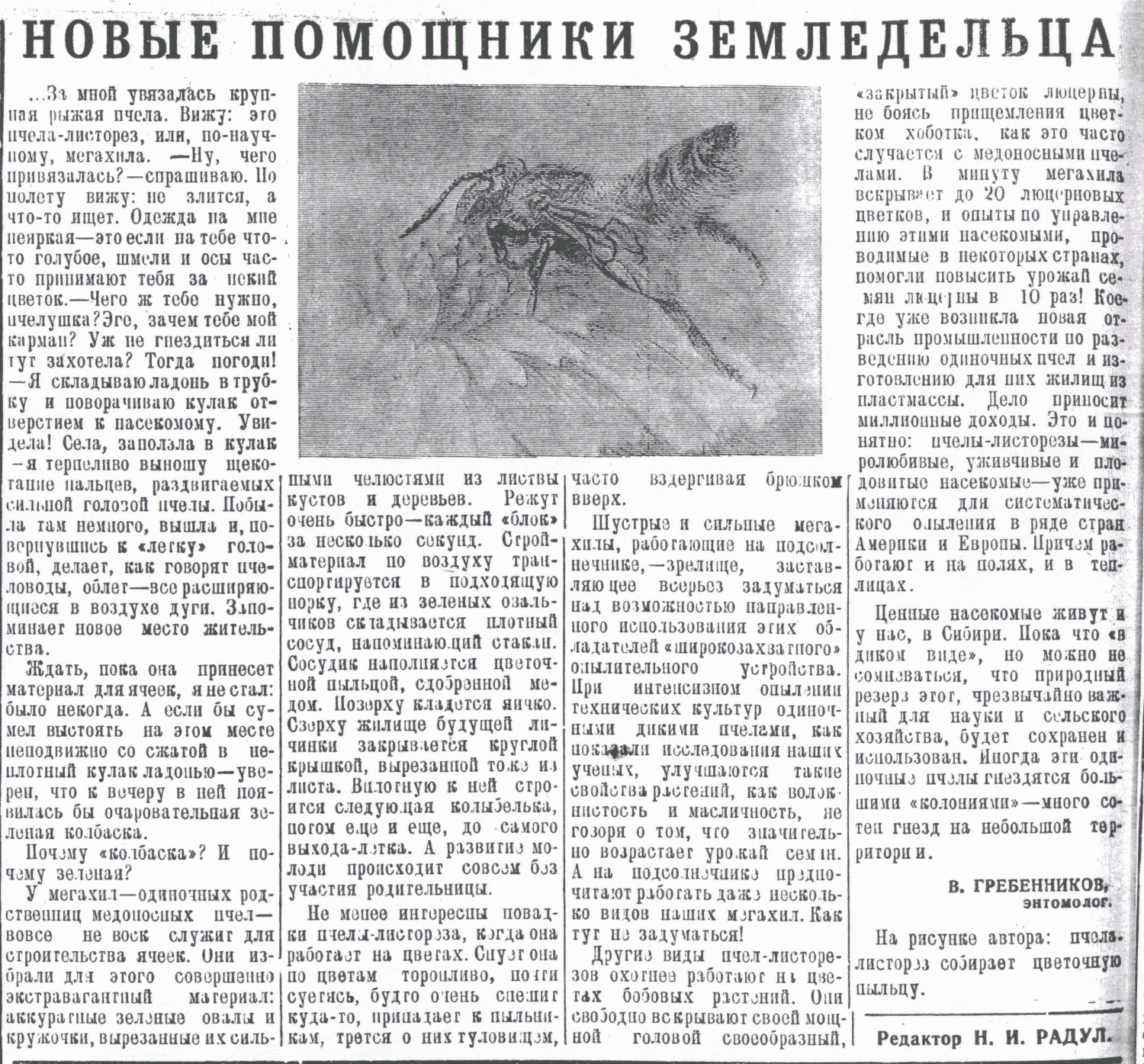 Скан/Scan