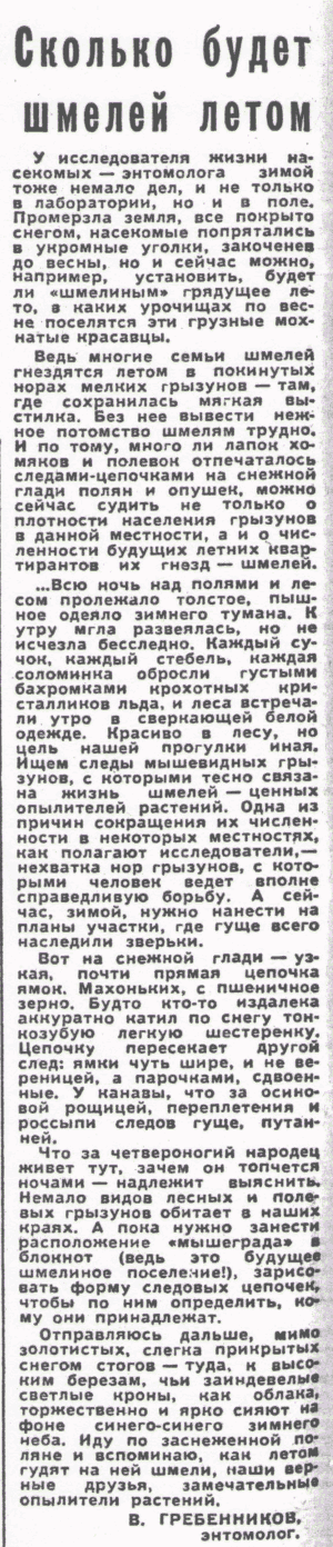 Скан/Scan