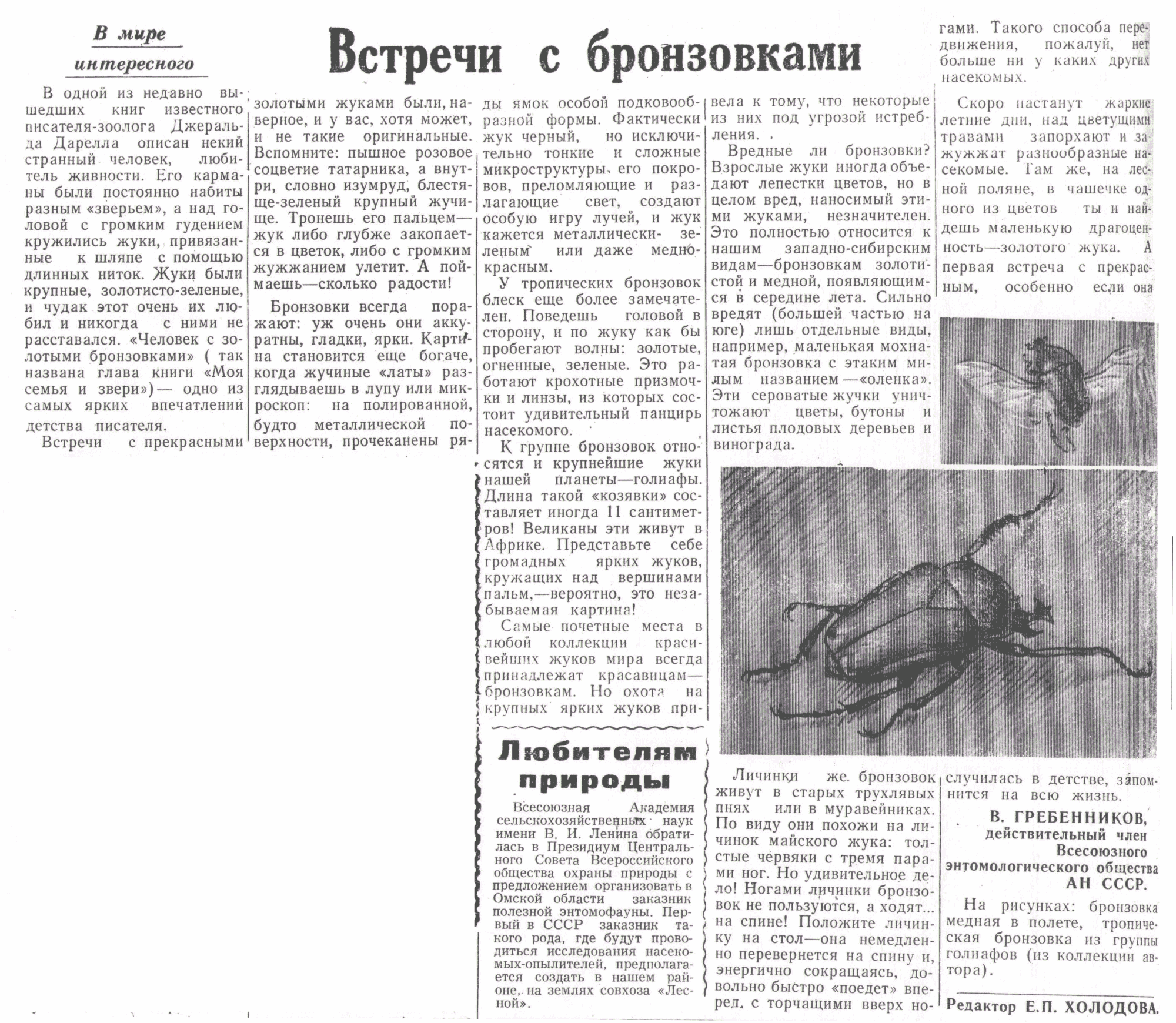 Скан/Scan