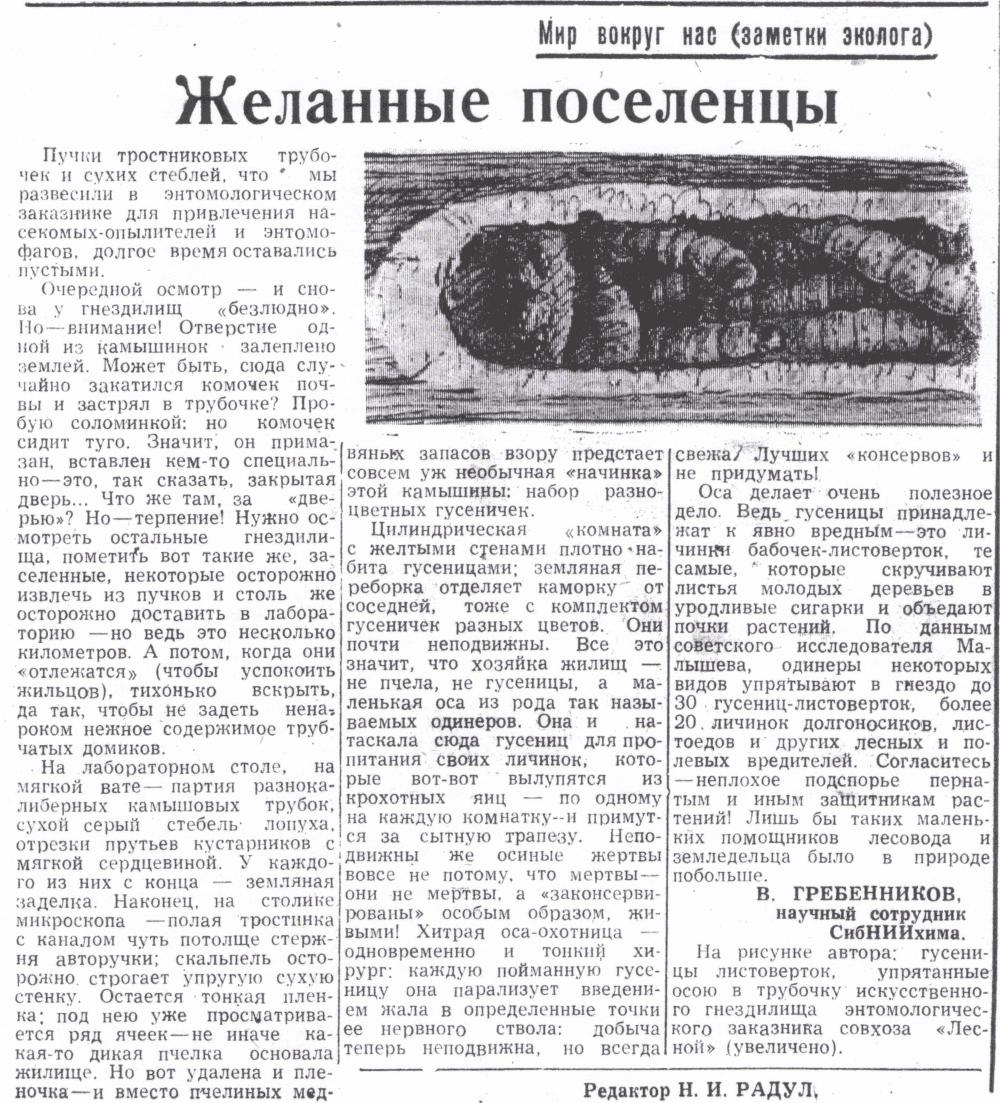 Скан/Scan
