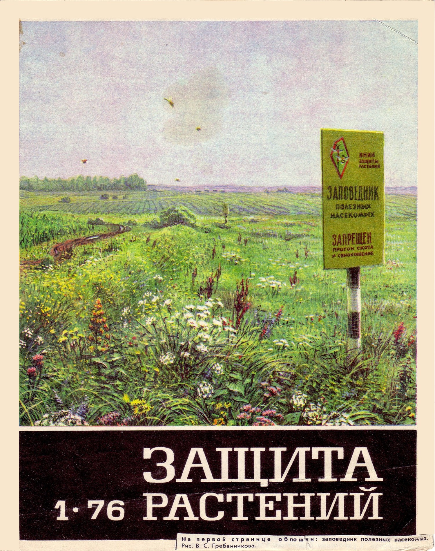Скан/Scan