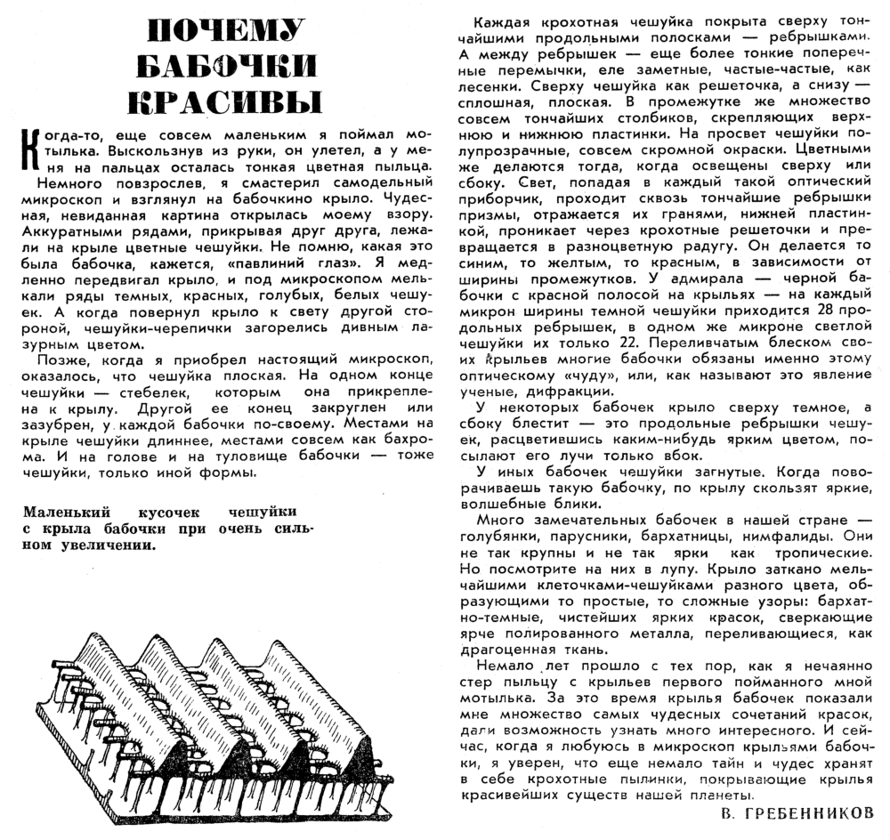 Скан/Scan