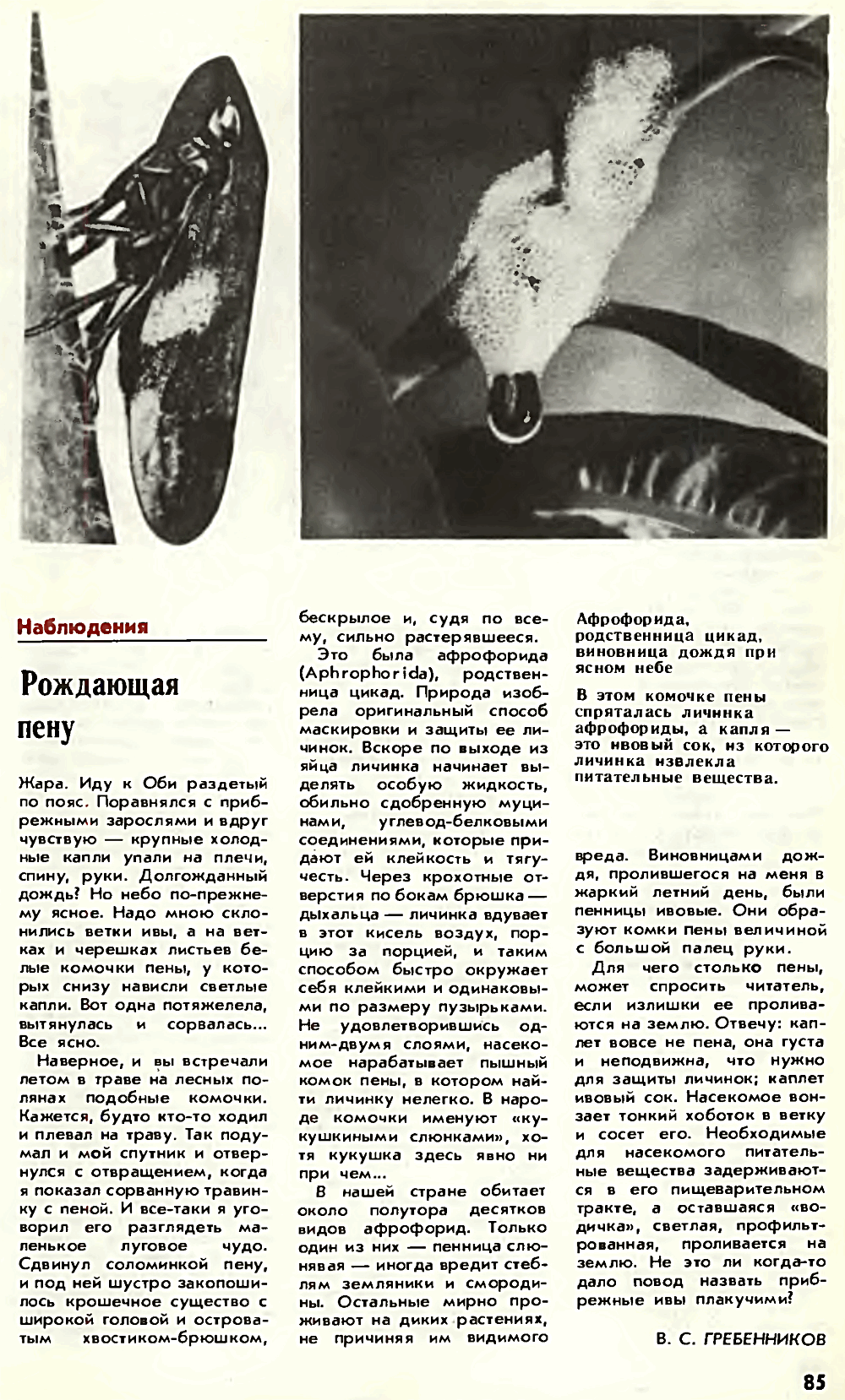 Рождающая пену. В.С. Гребенников. Химия и жизнь, №9, 1980, с.85