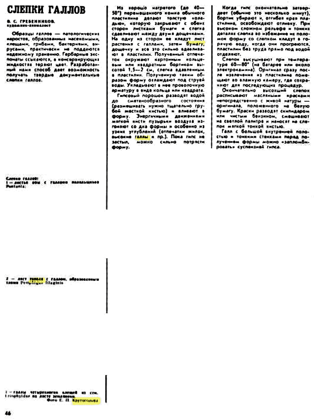 Слепки галлов. В.С. Гребенников. Защита растений, 1977, №4, с.46 (редактирование)