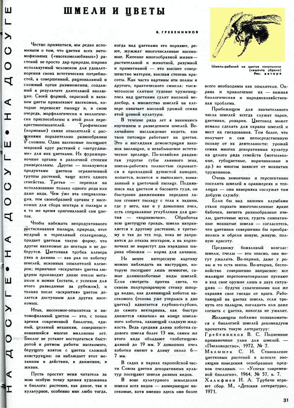 Шмели и цветы. В.С. Гребенников. Цветоводство, 1973, №10, с.31