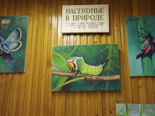 Музей агроэкологии и охраны окружающей среды имени В.С. Гребенникова