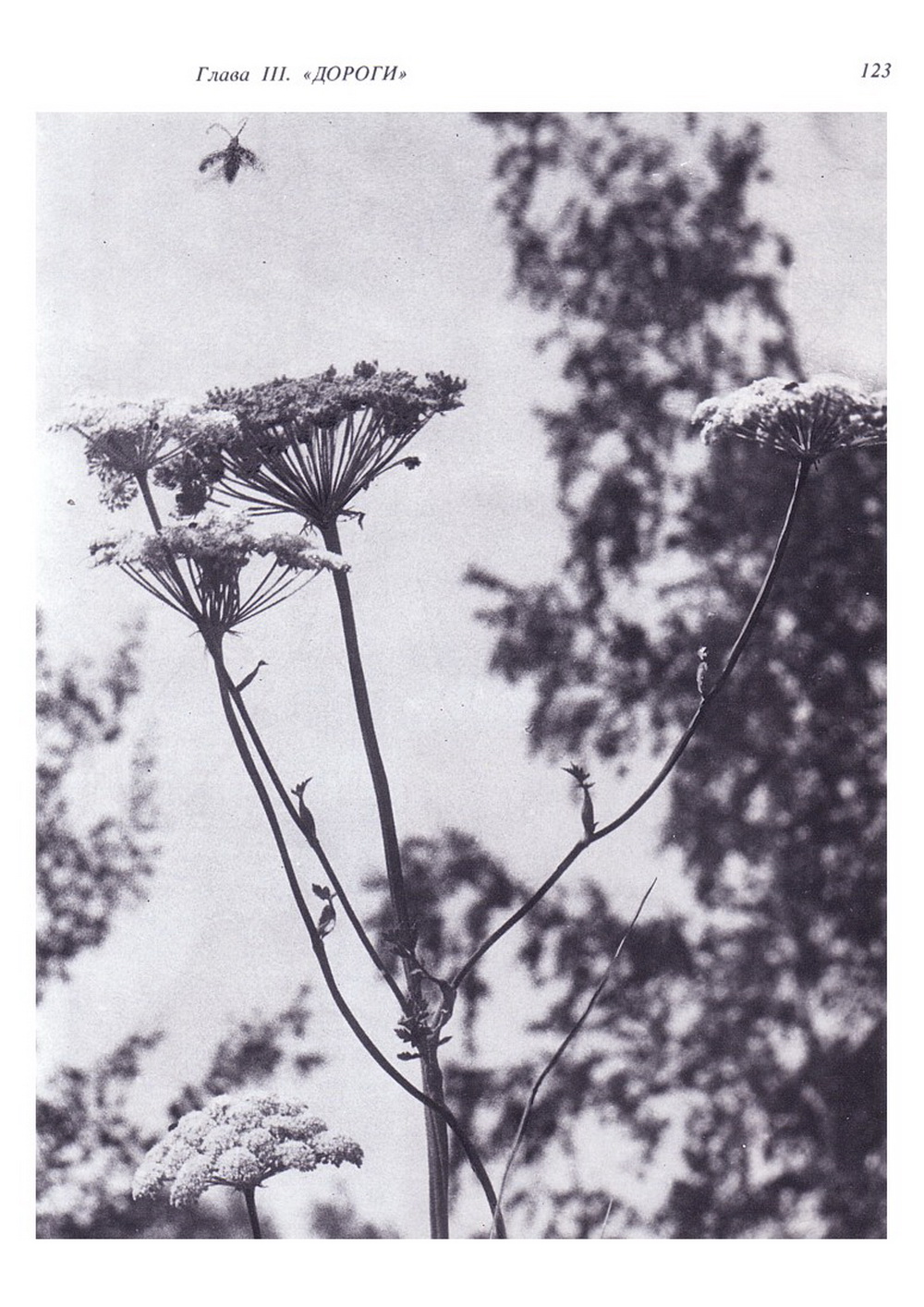 Мой мир. В.С. Гребенников. Новосибирск, Советская Сибирь, 1997, c.123. Фотокопия