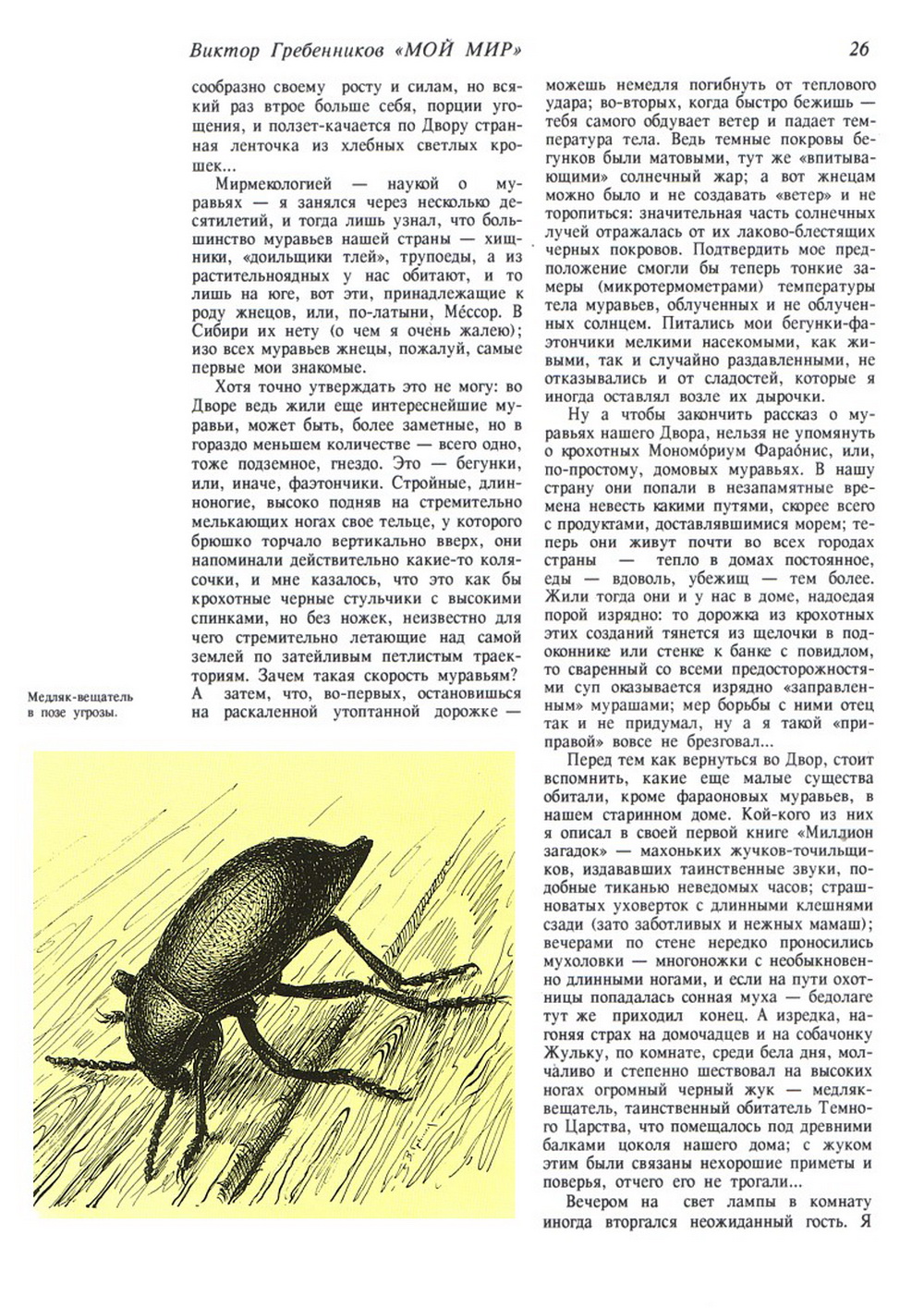 Мой мир. В.С. Гребенников. Новосибирск, Советская Сибирь, 1997, c.26. Фотокопия