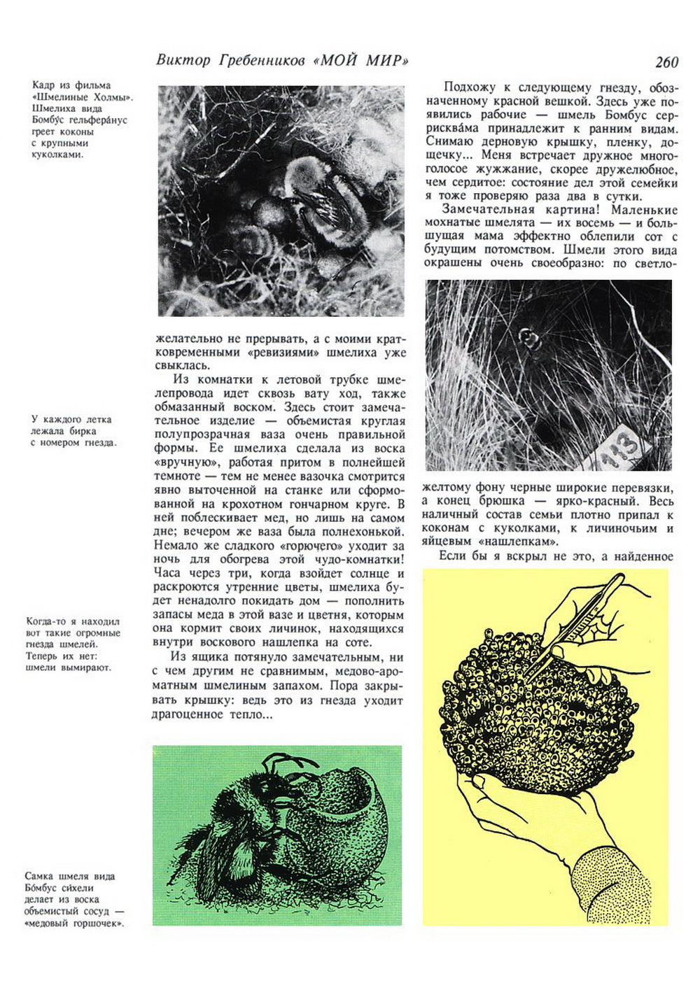 Мой мир. В.С. Гребенников. Новосибирск, Советская Сибирь, 1997, c.260. Фотокопия