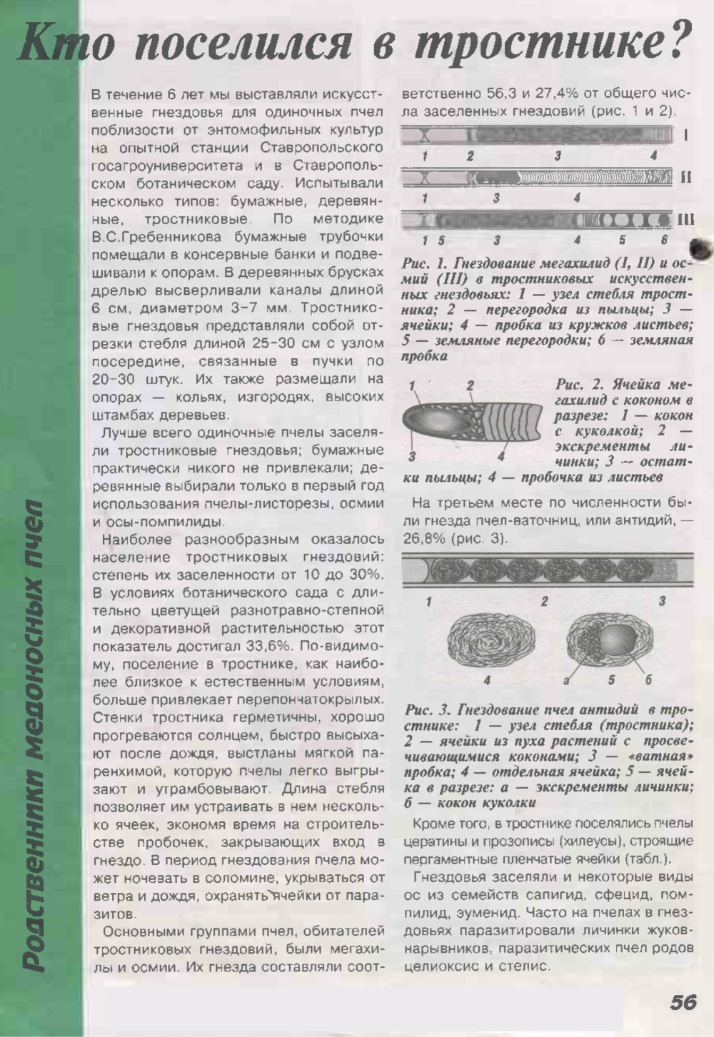 Кто поселился в тростнике? Е.В. Ченикалова. Пчеловодство, 2005, №1, с.56-57. Фотокопия №1