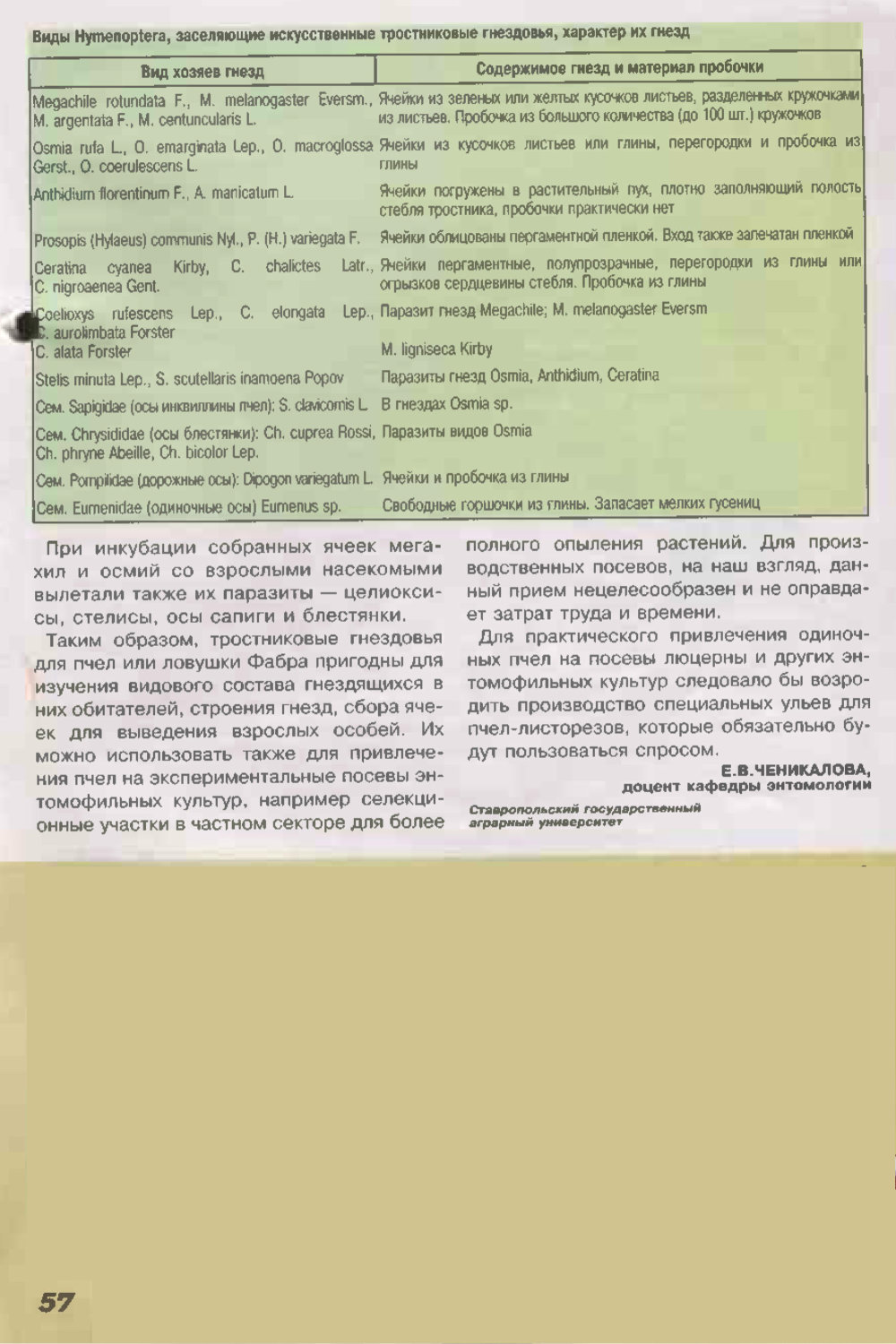 Кто поселился в тростнике? Е.В. Ченикалова. Пчеловодство, 2005, №1, с.56-57. Фотокопия №2