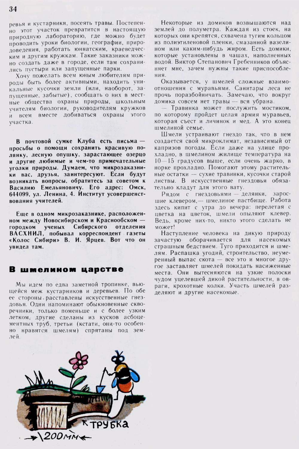 Необычные заказники. В. Шрам. В шмелином царстве. В. Ярцев. Юный натуралист, 1981, №4, с.32-34. Фотокопия №3