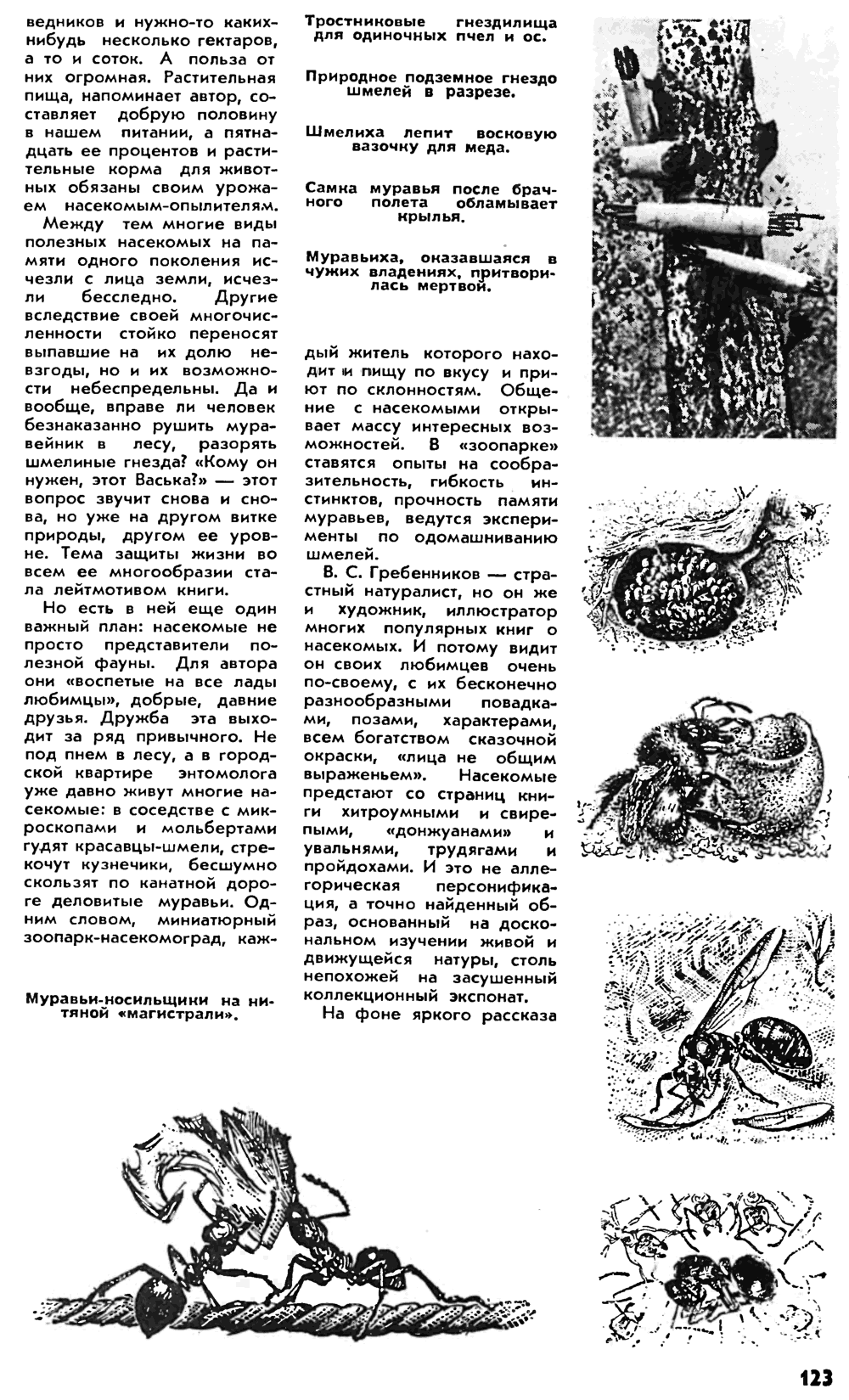 Путешествие в страну насекомых. Р. Каганова. Наука и жизнь, 1979, №12, с.122-125. Фотокопия №2