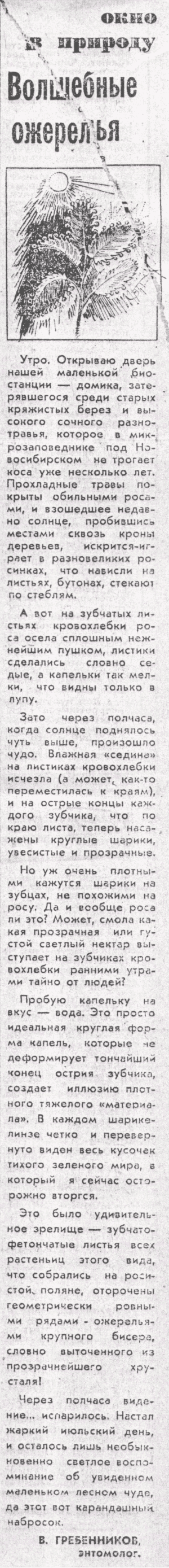 Волшебные ожерелья. В.С. Гребенников. Вечерний Новосибирск, 18.07.1980. Фотокопия