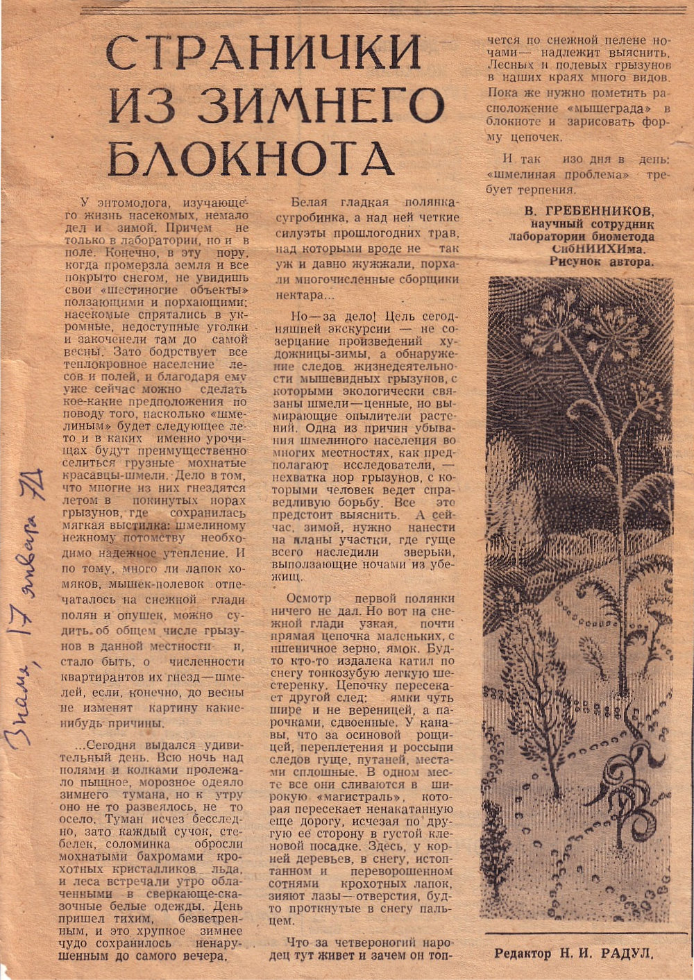 Странички из зимнего блокнота. В.С. Гребенников. Знамя (Исилькульский р-н, Омской обл.), 17.01.1974. Фотокопия