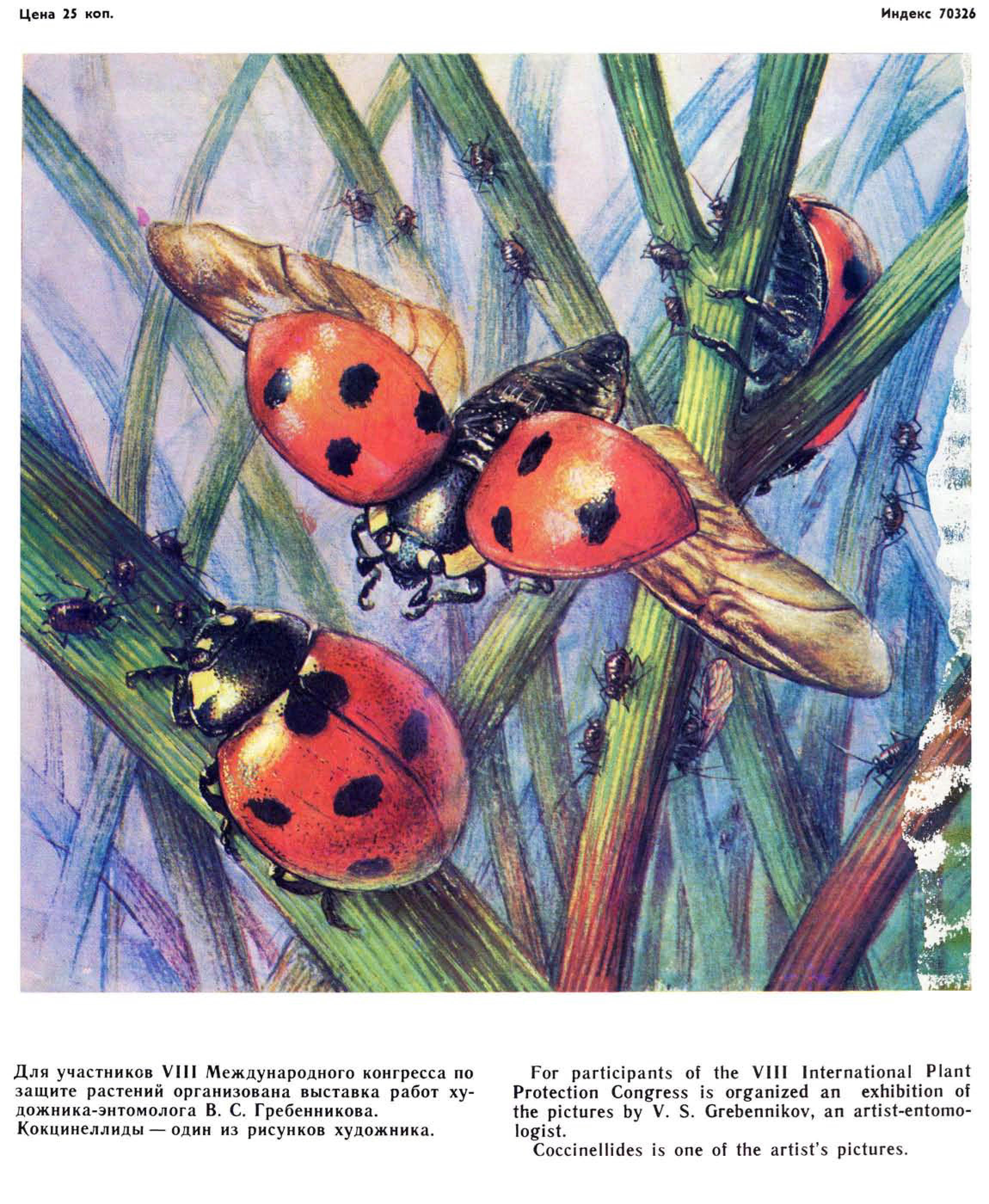 Кокцинеллиды. В.С. Гребенников. Защита растений, 1975, №8, обложка(с.66). Фотокопия