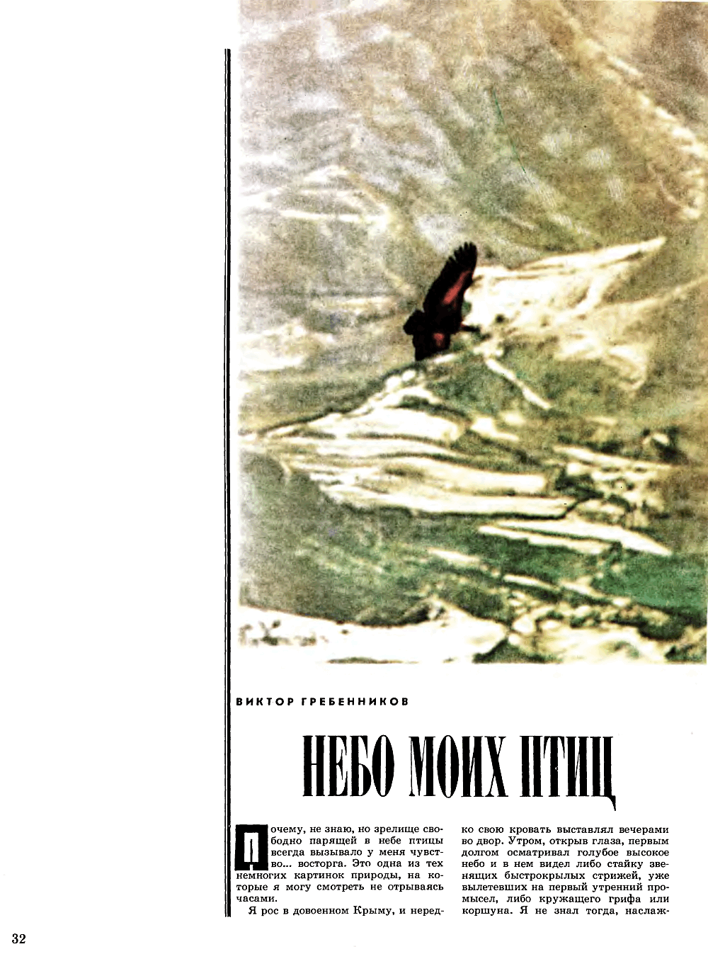 Небо моих птиц. В.С. Гребенников. Вокруг света, 1982, №7, с.32-34. Фотокопия №1