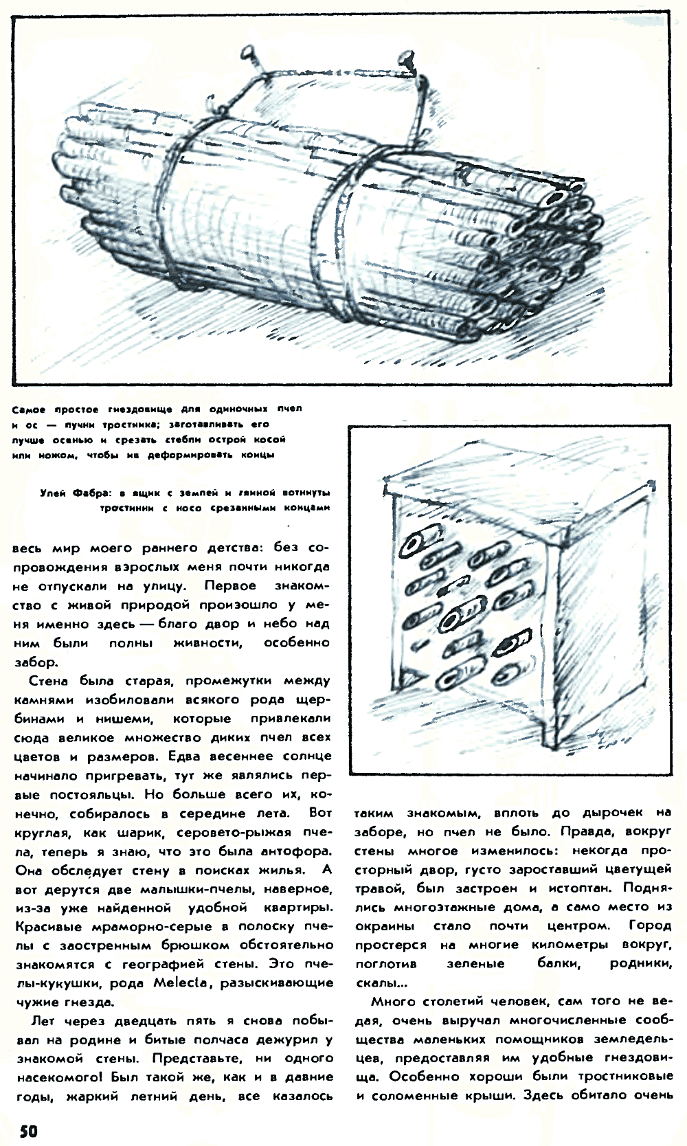 Необычное пчеловодство. В.С. Гребенников. Химия и жизнь, 1978, №6, с.49-51. Фотокопия №3