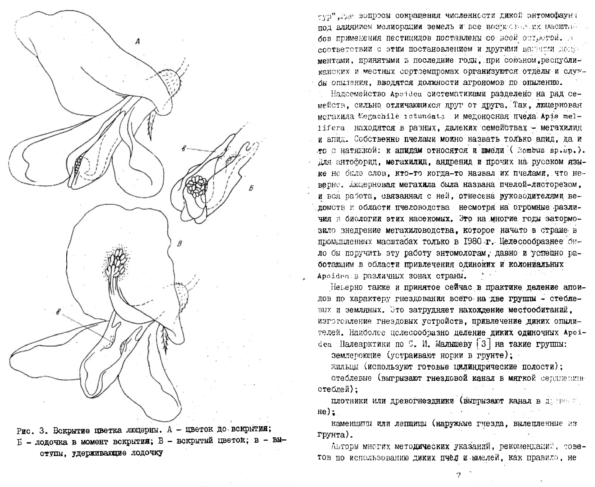 Охрана и использование диких насекомых опылителей. В.С. Гребенников. В кн. Насекомые — опылители сельскохозяйственных культур, Новосибирск, СО ВАСХНИЛ, 1982, с.3-10. Фотокопия №3