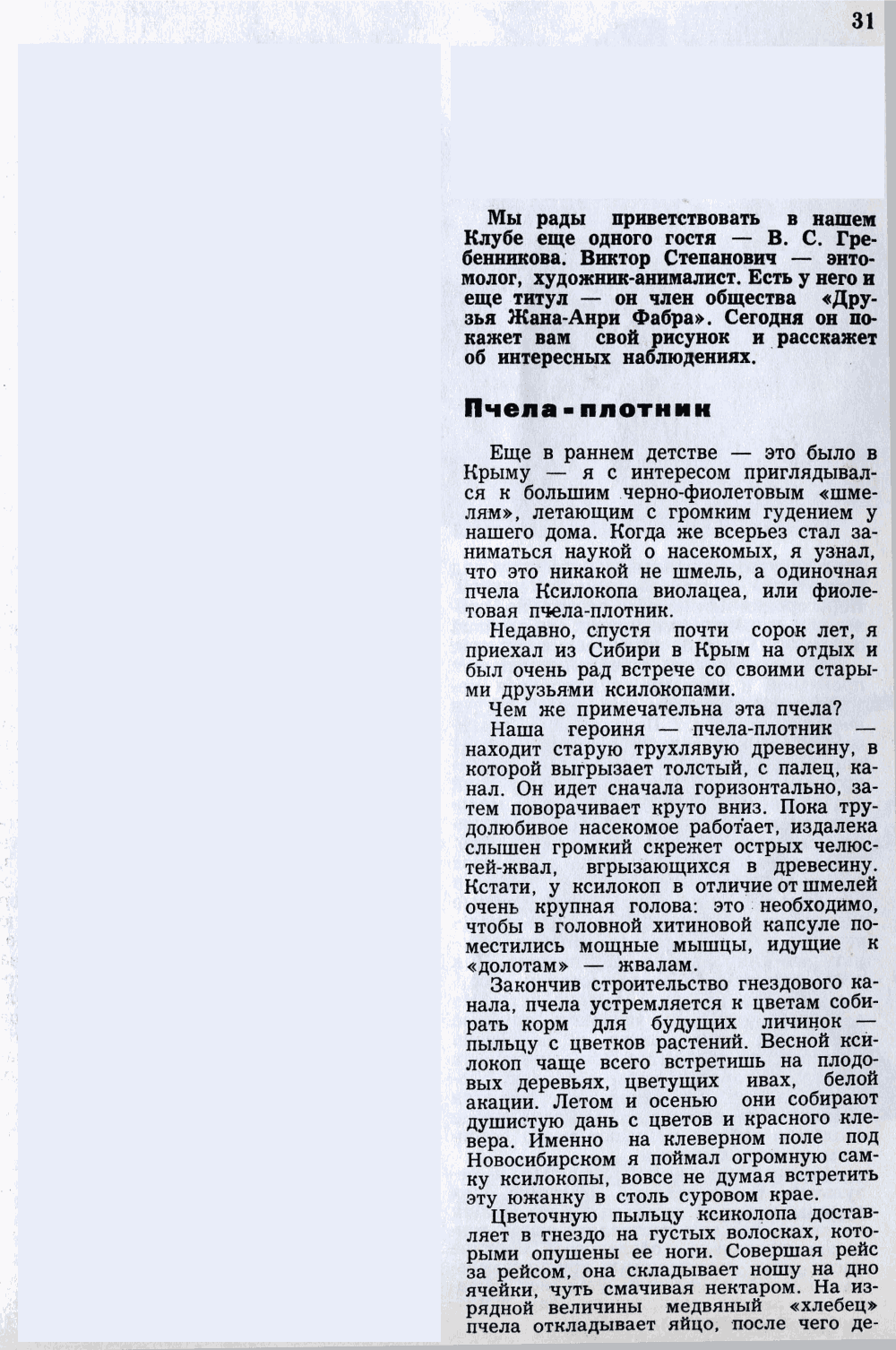 Пчела-плотник. В.С. Гребенников. Юный натуралист, 1979, №7, с.31-32. Фотокопия №1