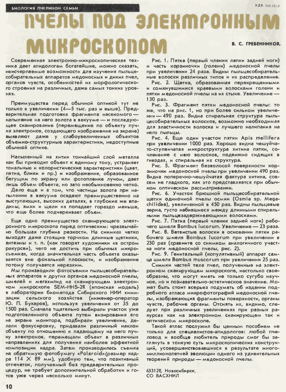 Пчелы под электронным микроскопом. В.С. Гребенников. Пчеловодство, 1978, №1, с.10-11. Фотокопия №1