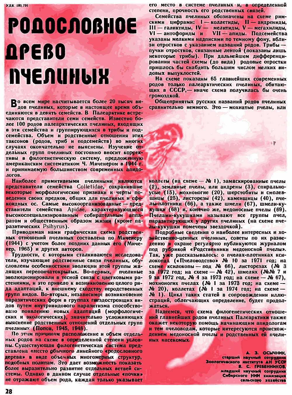 Родословное древо пчелиных. В.С. Гребенников, А.З. Осичник. Пчеловодство, 1975, №10, с.28-29. Фотокопия №1