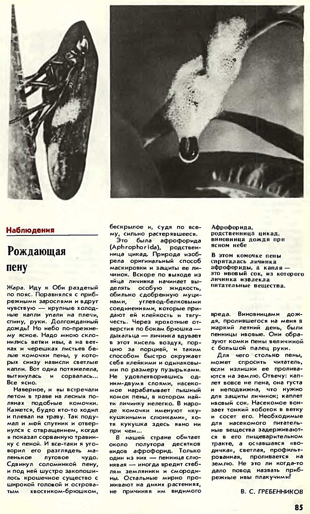 Рождающая пену. В.С. Гребенников. Химия и жизнь, №9, 1980, с.85. Фотокопия