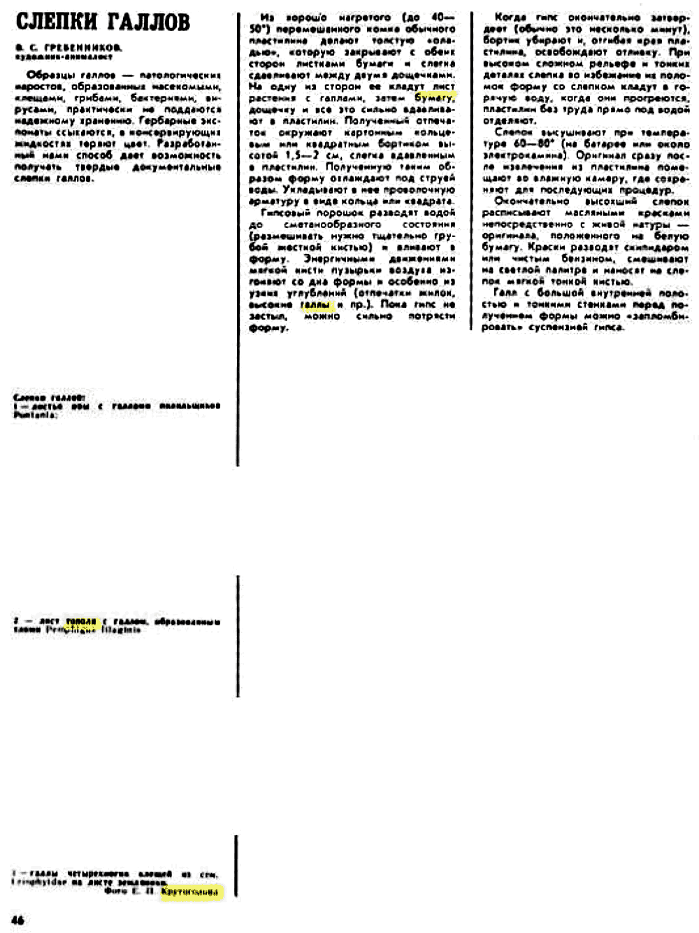 Слепки галлов. В.С. Гребенников. Защита растений, 1977, №4, с.46 (редактирование). Фотокопия