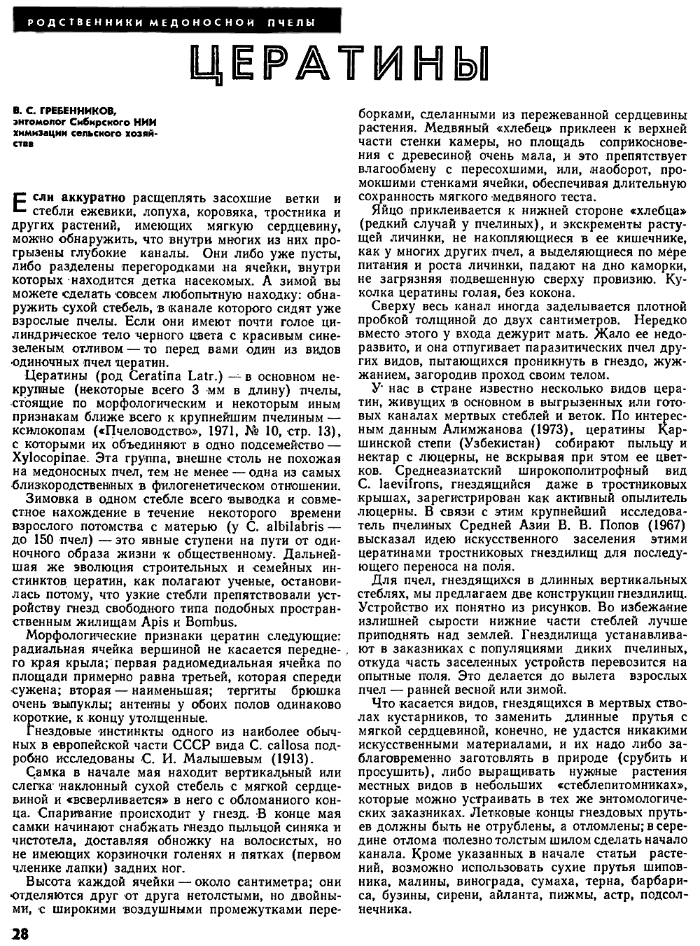 Цератины. В.С. Гребенников. Пчеловодство, 1975, №2, с.28-29. Фотокопия №1