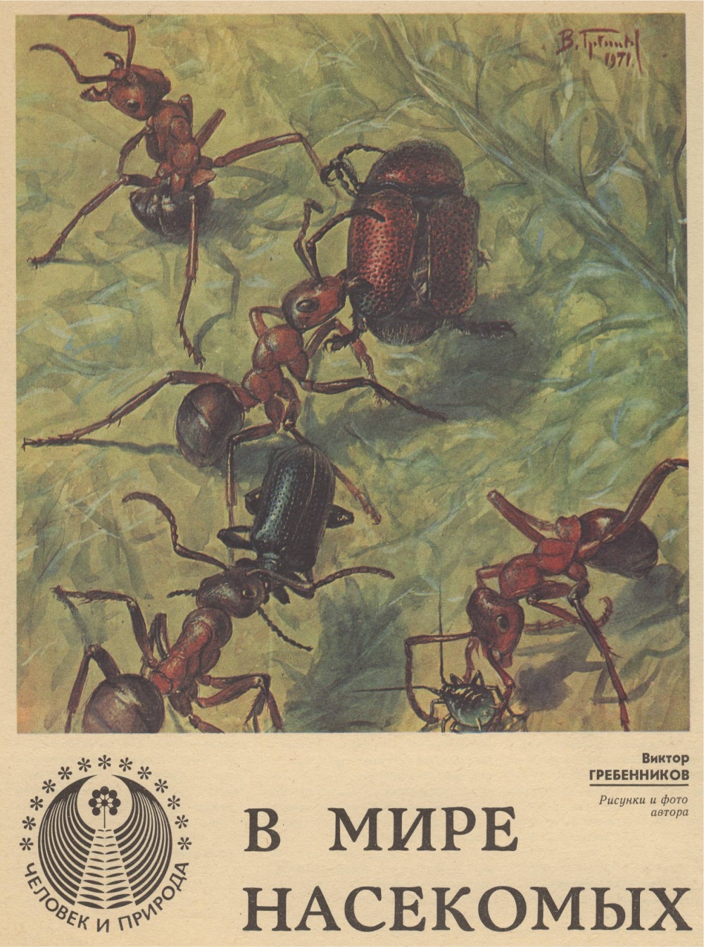 В мире насекомых. В.С. Гребенников. Уральский следопыт, 1979, №9, с.16-23. Фотокопия №1