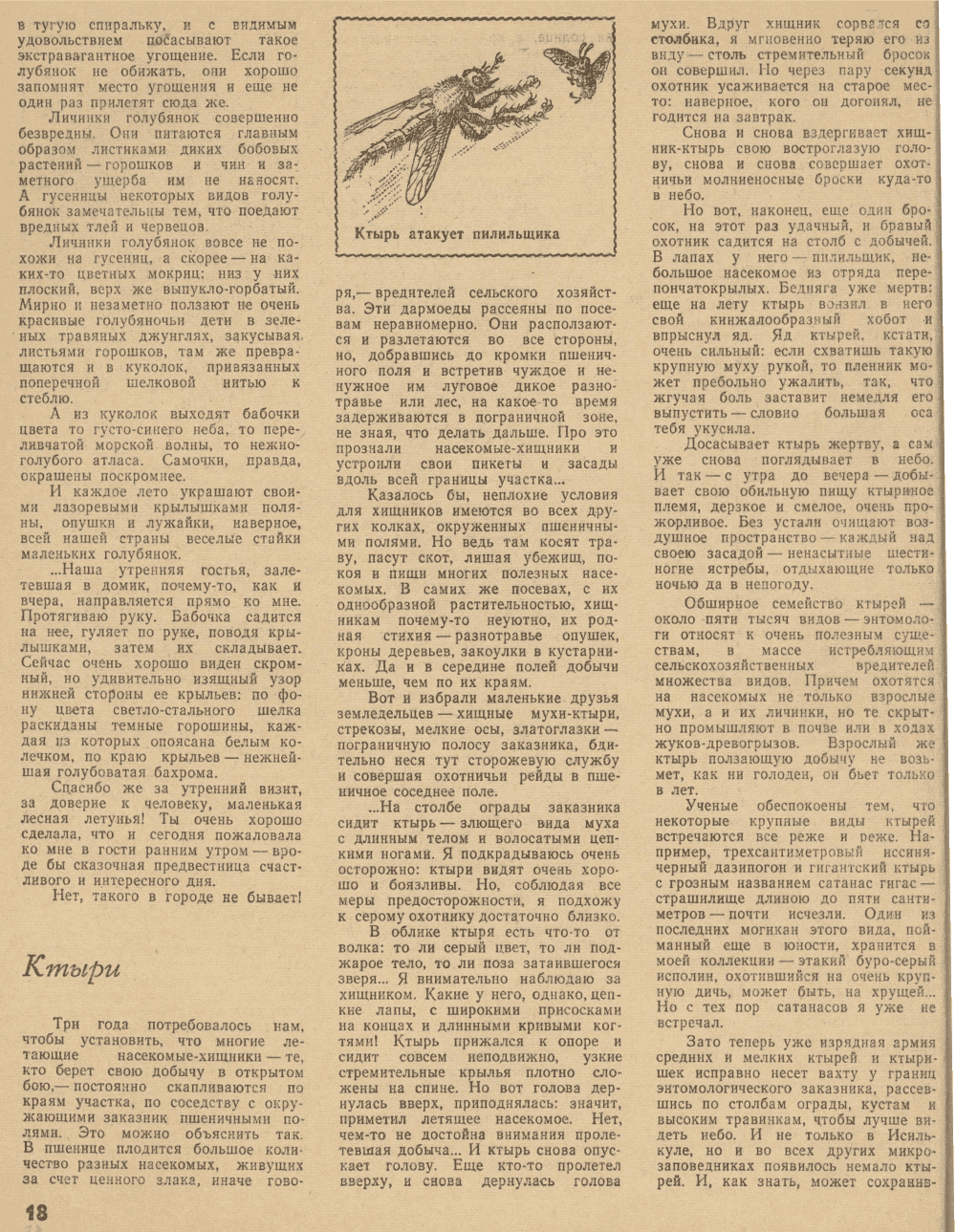 В мире насекомых. В.С. Гребенников. Уральский следопыт, 1979, №9, с.16-23. Фотокопия №3