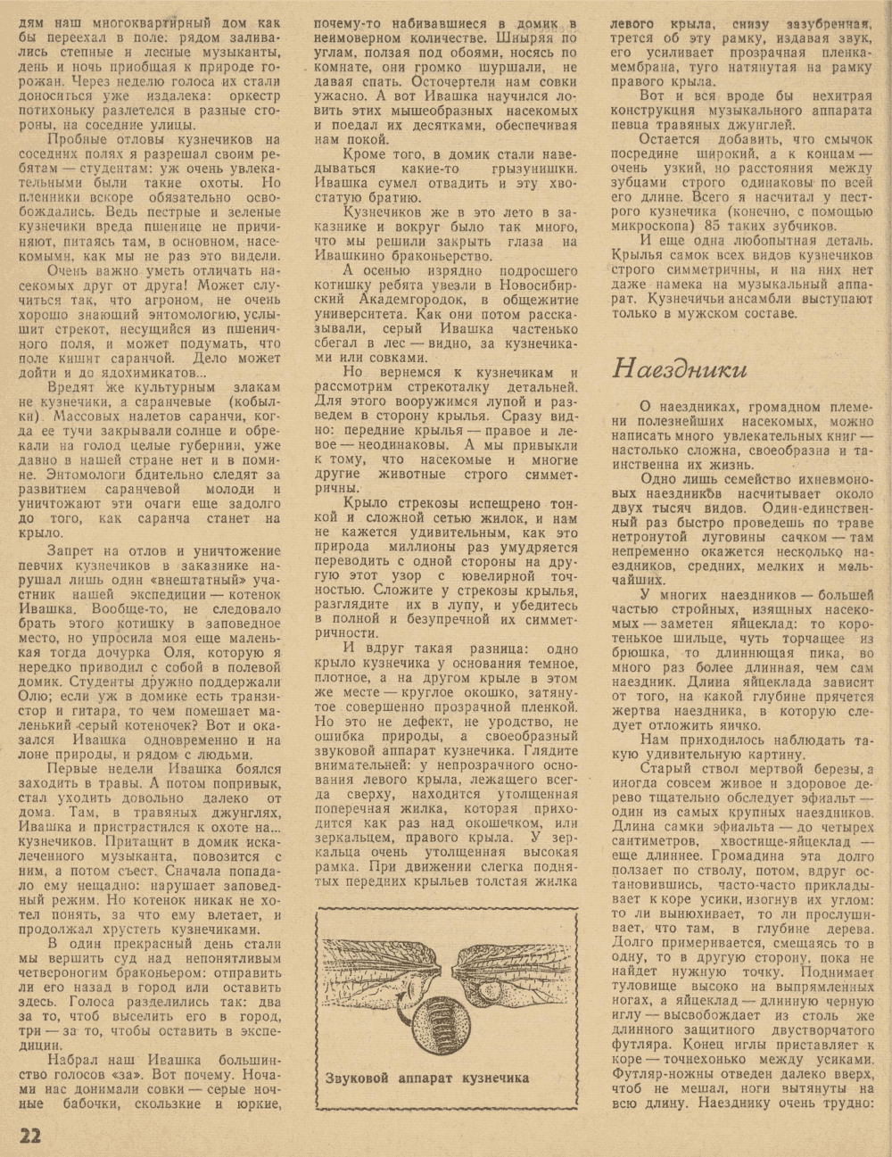 В мире насекомых. В.С. Гребенников. Уральский следопыт, 1979, №9, с.16-23. Фотокопия №7