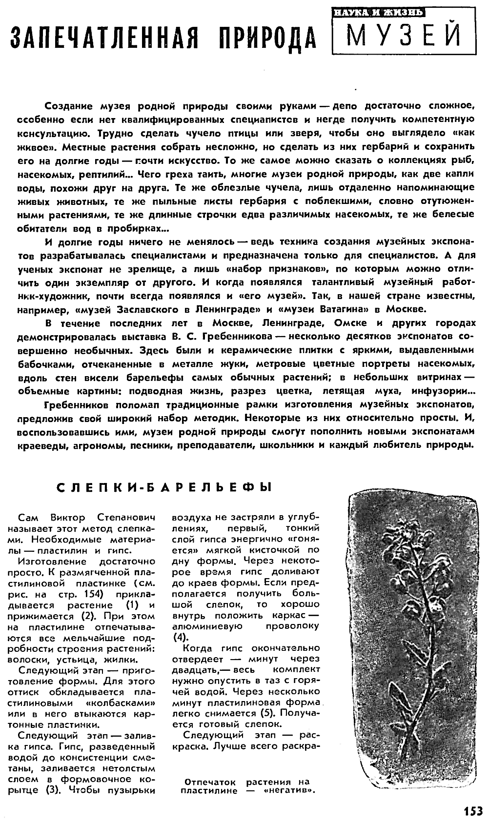 Запечатленная природа. В.С. Гребенников. Наука и жизнь, 1976, №7, с.153-156. Фотокопия №1