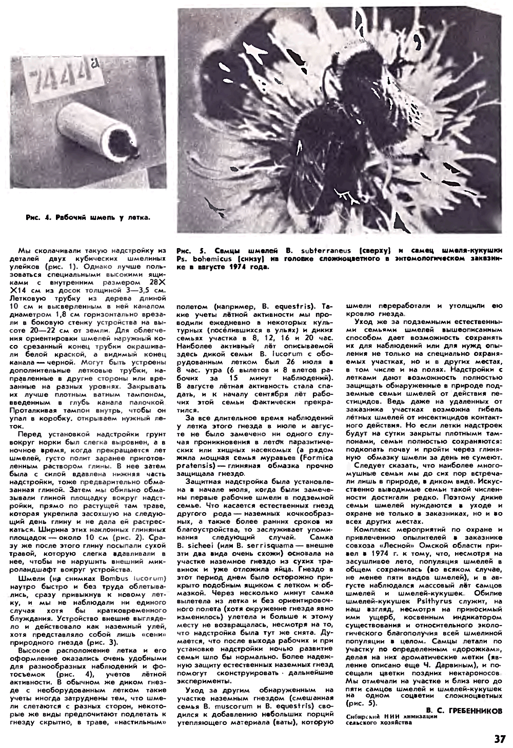 Защита естественных гнездовий шмелей. В.С. Гребенников. Пчеловодство, 1975, №9, с.36-37. Фотокопия №2