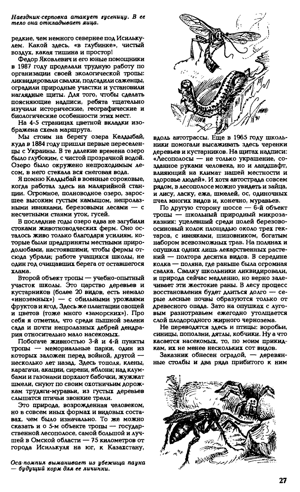 Экологические тропы. В.С. Гребенников. Наука и жизнь, 1991, №6, с.26-28 (вкладка). Фотокопия №2