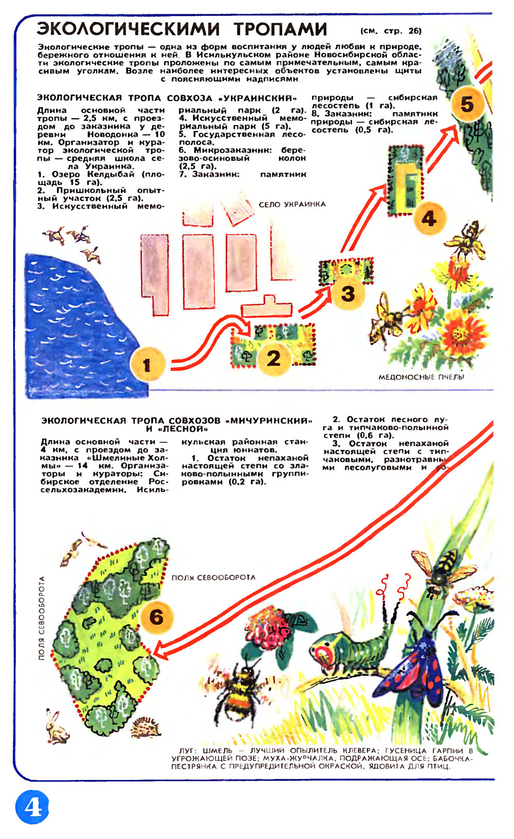 Экологические тропы. В.С. Гребенников. Наука и жизнь, 1991, №6, с.26-28 (вкладка). Фотокопия №4