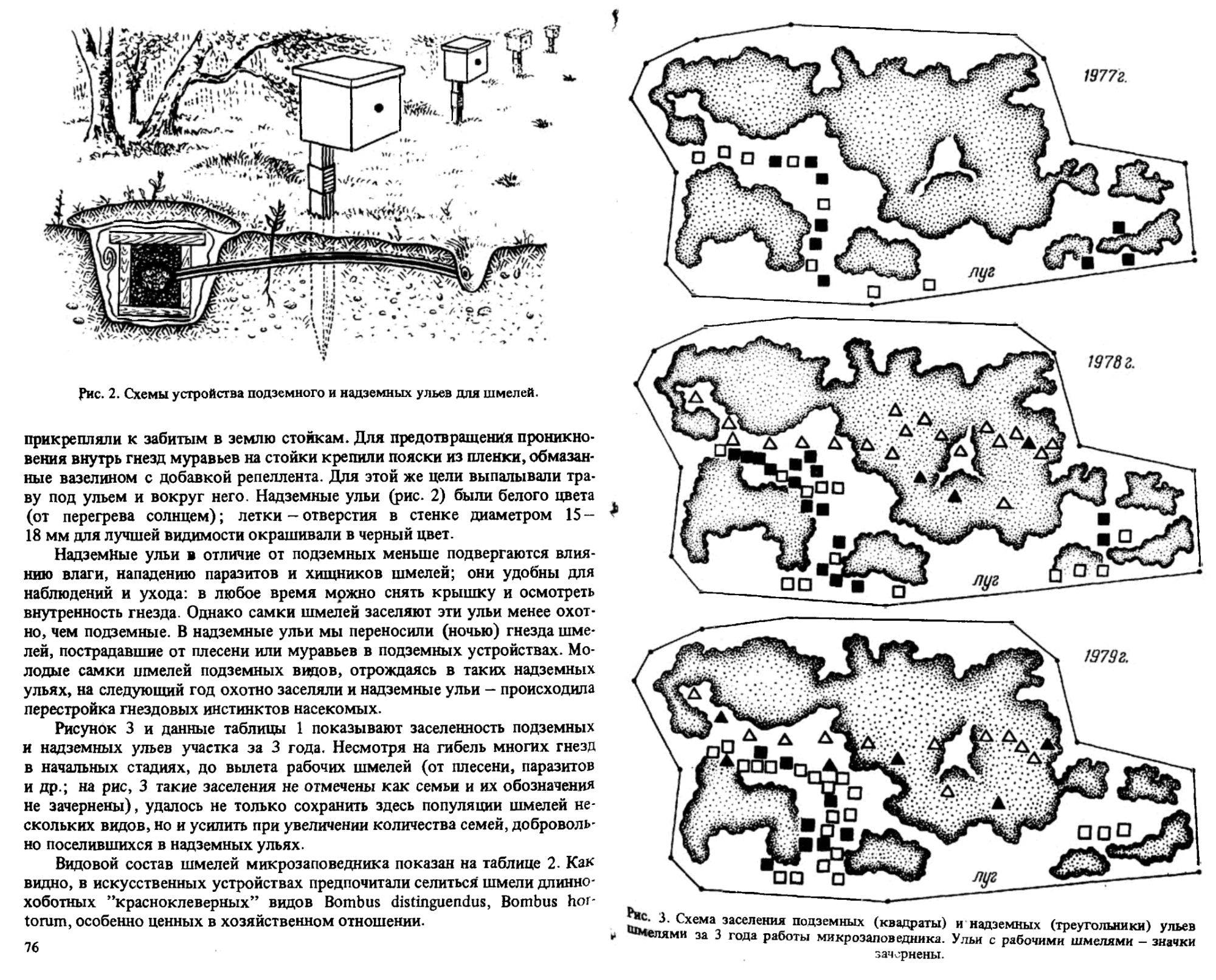 Использование шмелей на опылении клевера красного. В.С. Гребенников, С.В. Гребенников. В кн. Использование пчел для опыления сельскохозяйственных культур, Москва, Колос, 1983, c.75-79. Фотокопия №2