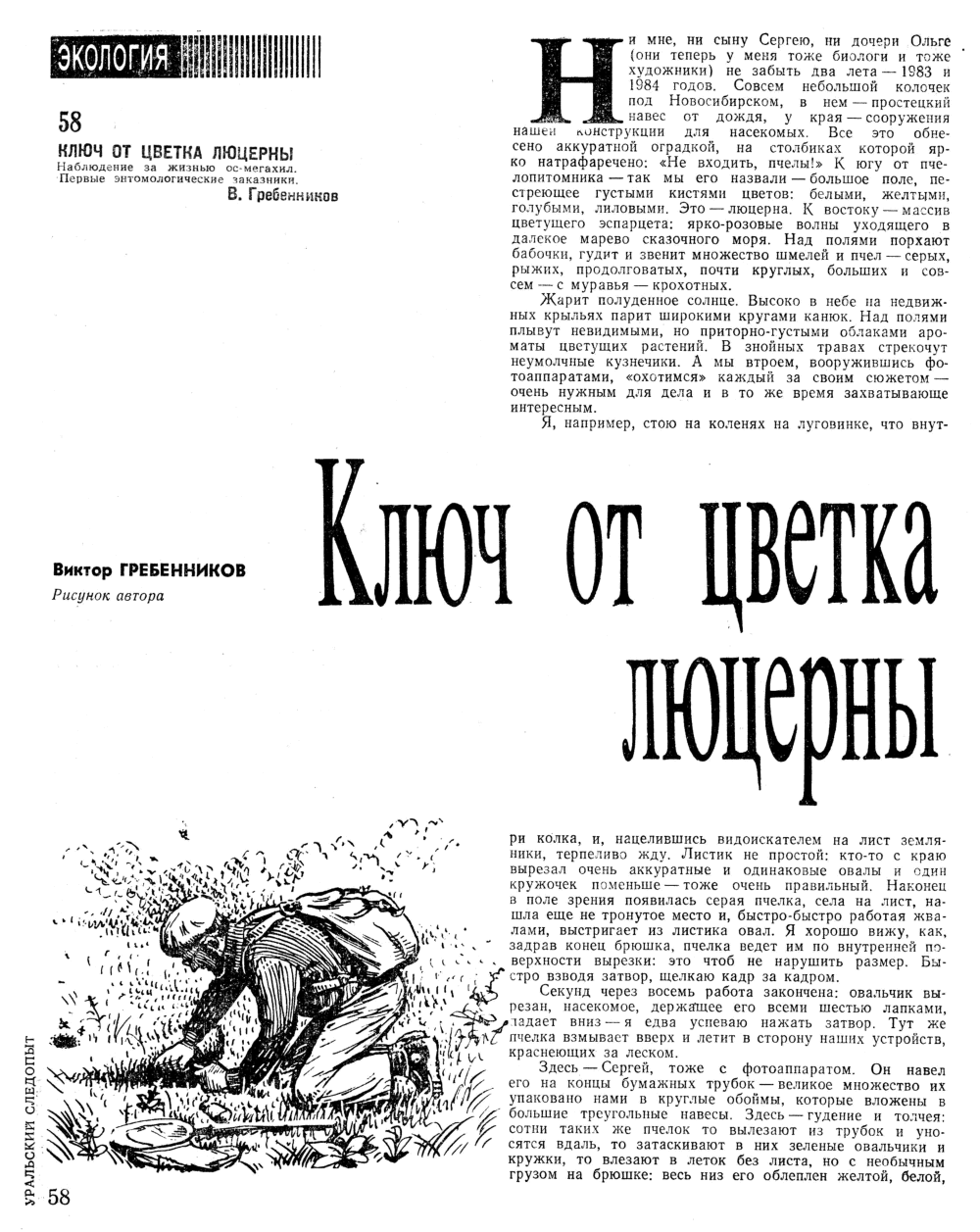 Ключ от цветка люцерны. В.С. Гребенников. Уральский следопыт, 1991, №1, с.58-61. Фотокопия №1