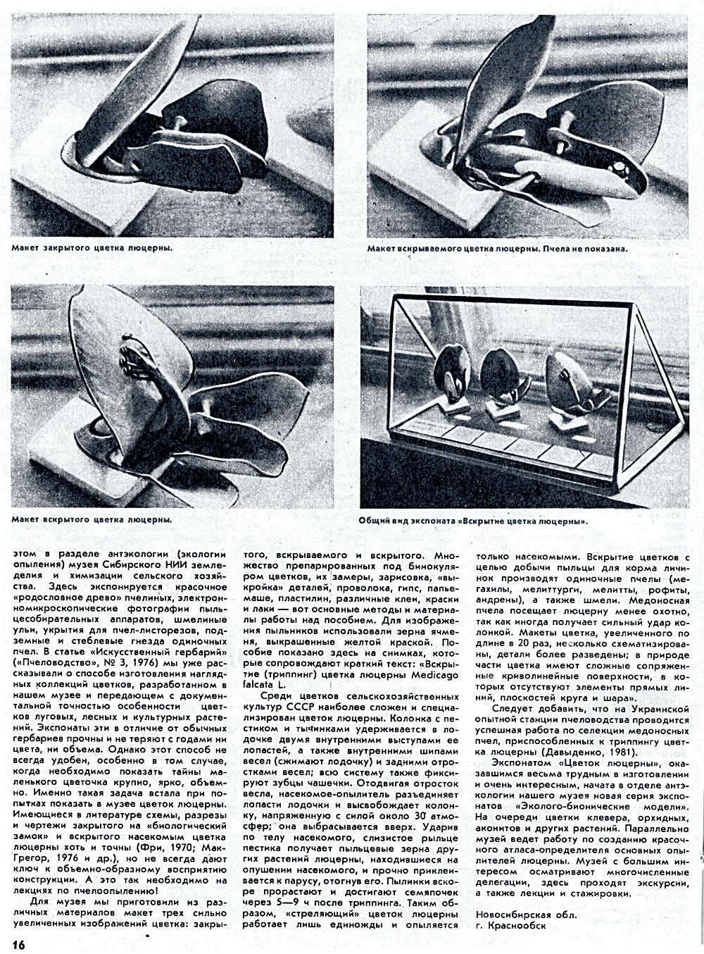 Наглядно об экологии опыления. В.С. Гребенников. Пчеловодство, 1983, №9, с.15-16. Фотокопия №2