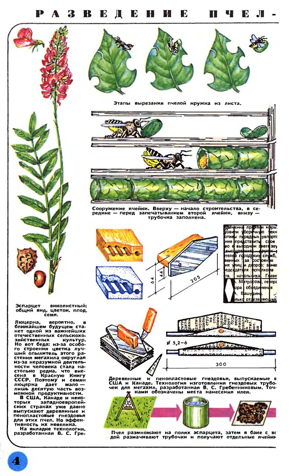 От эспарцета до семян люцерны. В.С. Гребенников. Наука и жизнь, 1990, №5, с.58 (вкладка). Фотокопия №2
