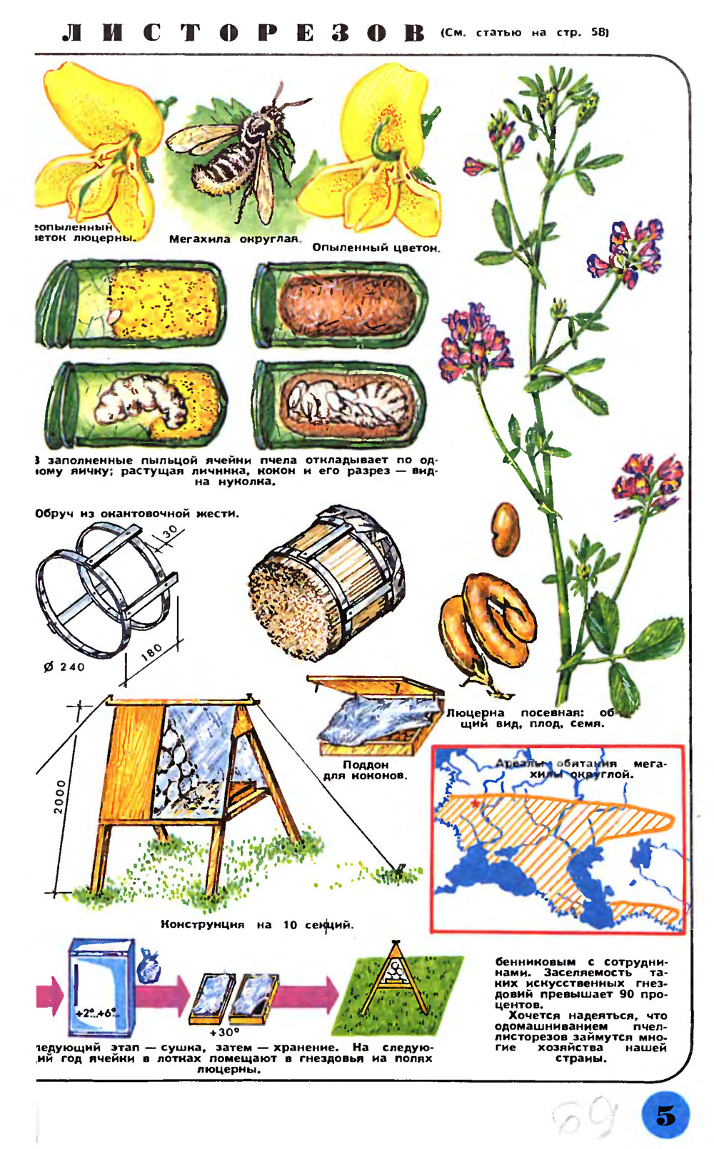 От эспарцета до семян люцерны. В.С. Гребенников. Наука и жизнь, 1990, №5, с.58 (вкладка). Фотокопия №3