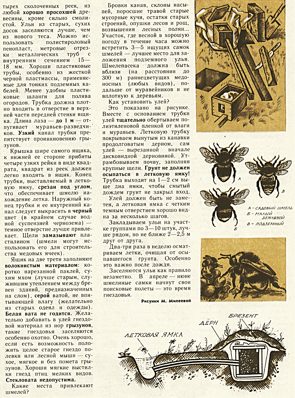 Улей для шмеля. В.С. Гребенников. Костер, 1985, №8, с.30-31. Фотокопия №2