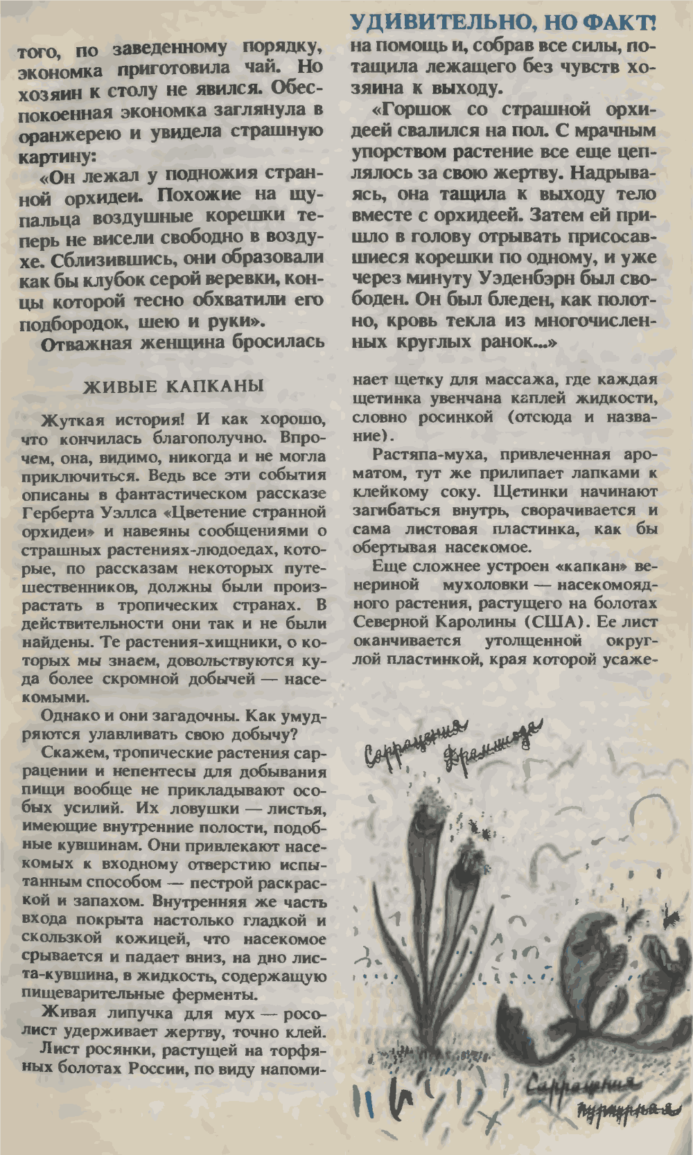 Растения и человек хоть и дальние, а родственники. О. Семенов. Юный техник, 1993, №3, с.14-19. Фотокопия №2