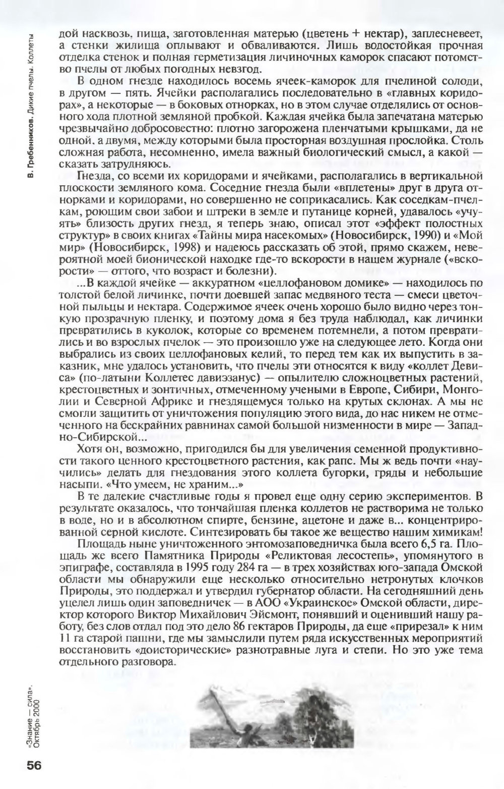 Дикие пчелы. Коллеты. В.С. Гребенников. Знание — сила, 2000, №10, с.53-56 (обложка). Фотокопия №6