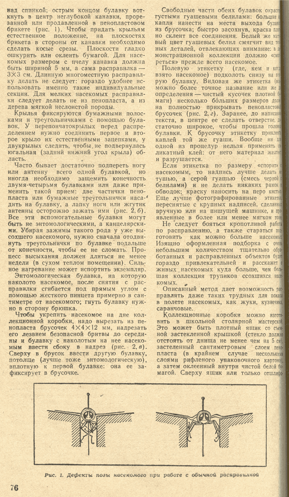 Изготовление энтомологических коллекций. В.С. Гребенников. Биология в школе, 1974, №3, с.75-77. Фотокопия №2