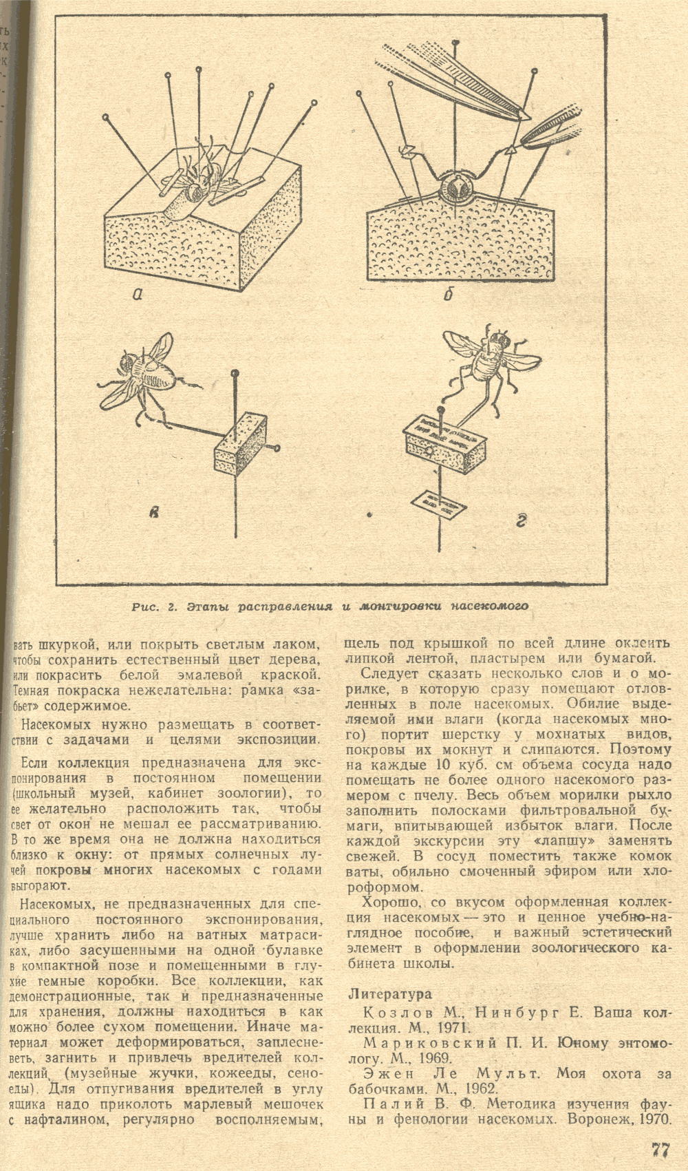Изготовление энтомологических коллекций. В.С. Гребенников. Биология в школе, 1974, №3, с.75-77. Фотокопия №3