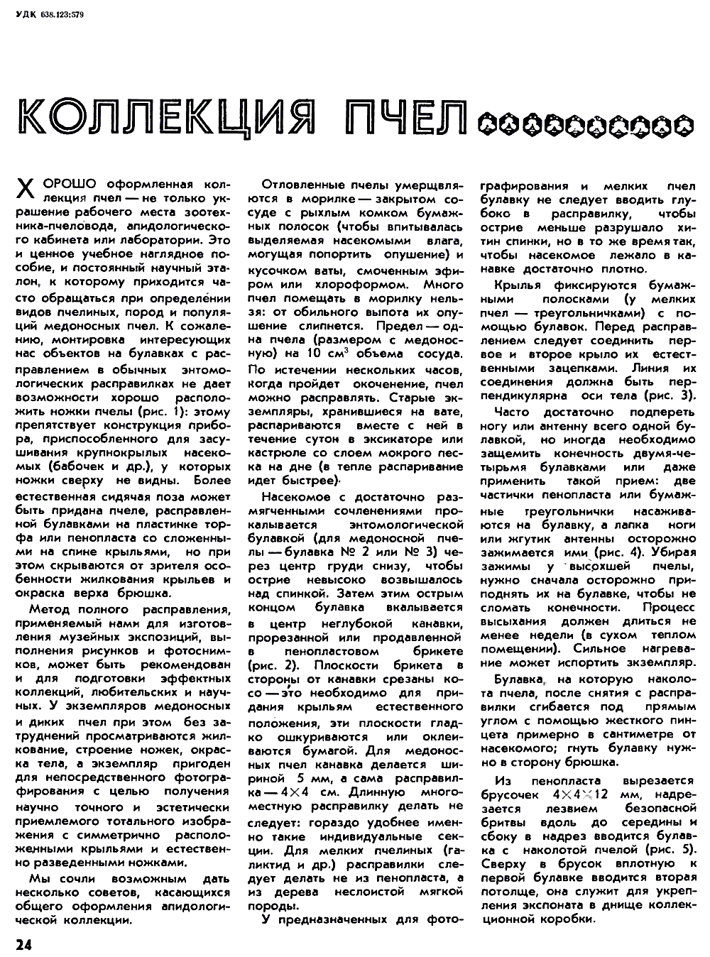 Коллекция пчел. В.С. Гребенников. Пчеловодство, 1974, №8, с.24-26. Фотокопия №1