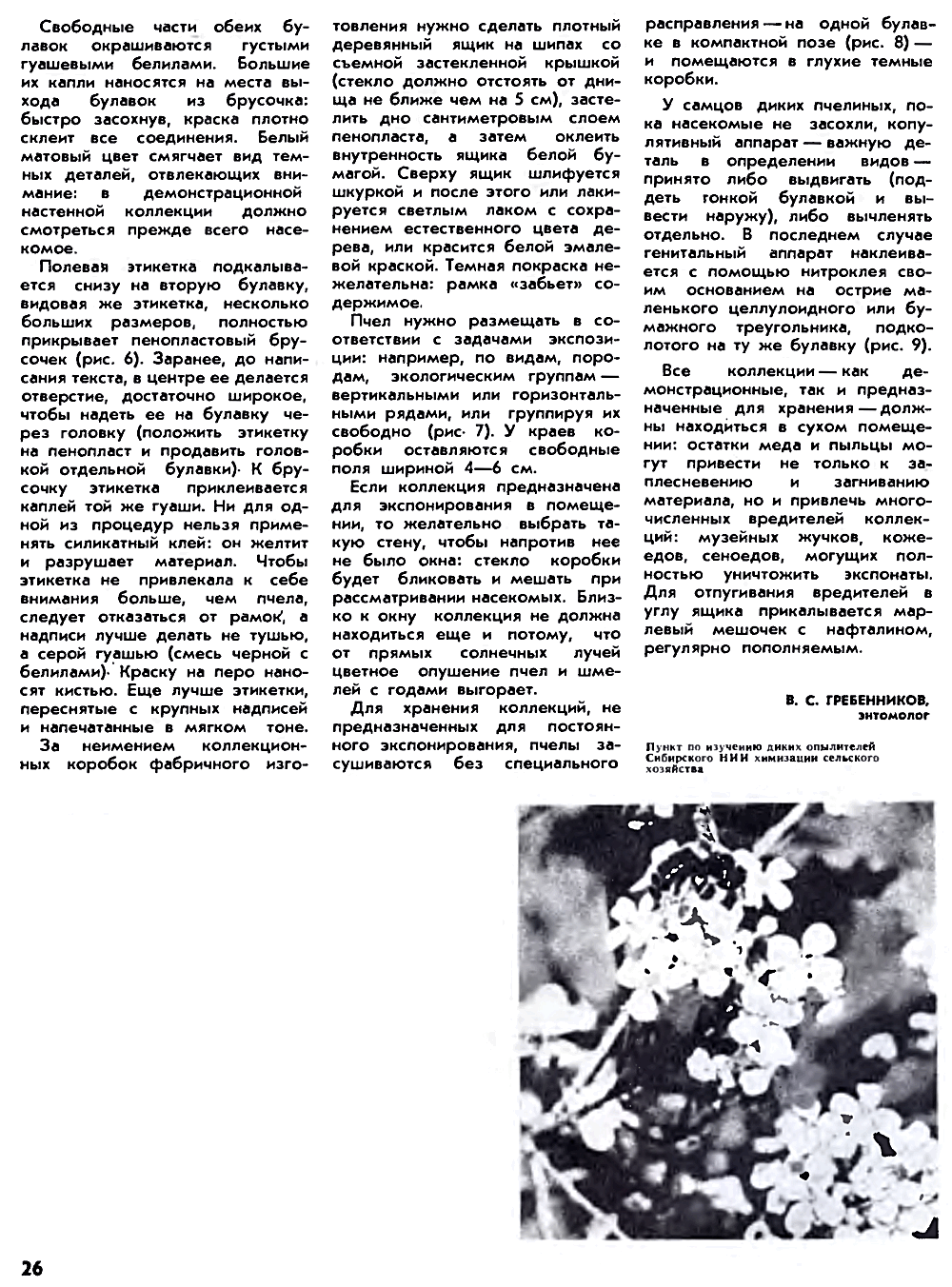 Коллекция пчел. В.С. Гребенников. Пчеловодство, 1974, №8, с.24-26. Фотокопия №3