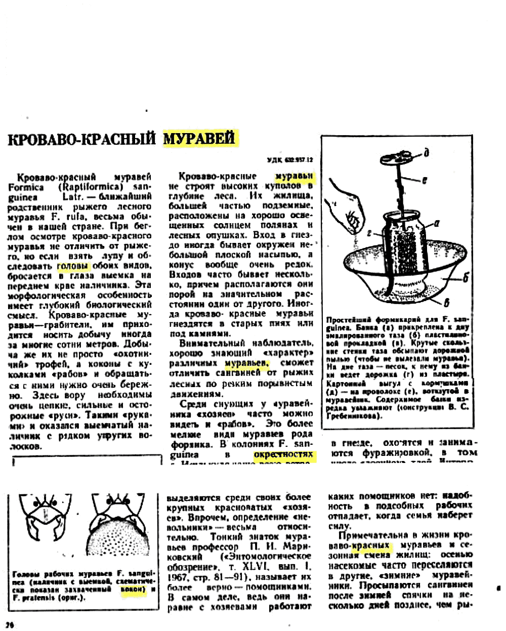 Кроваво-красный муравей. В.С. Гребенников. Защита растений, 1972, №1, с.26-27 (редактирование). Фотокопия №1